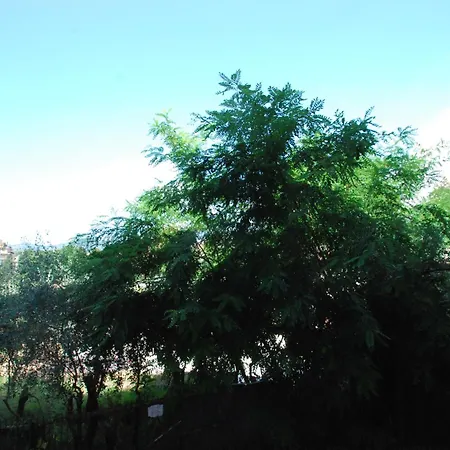 Casa Solari Lejlighed *